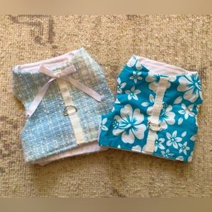 Dog halters. Fully washed and sanitized.